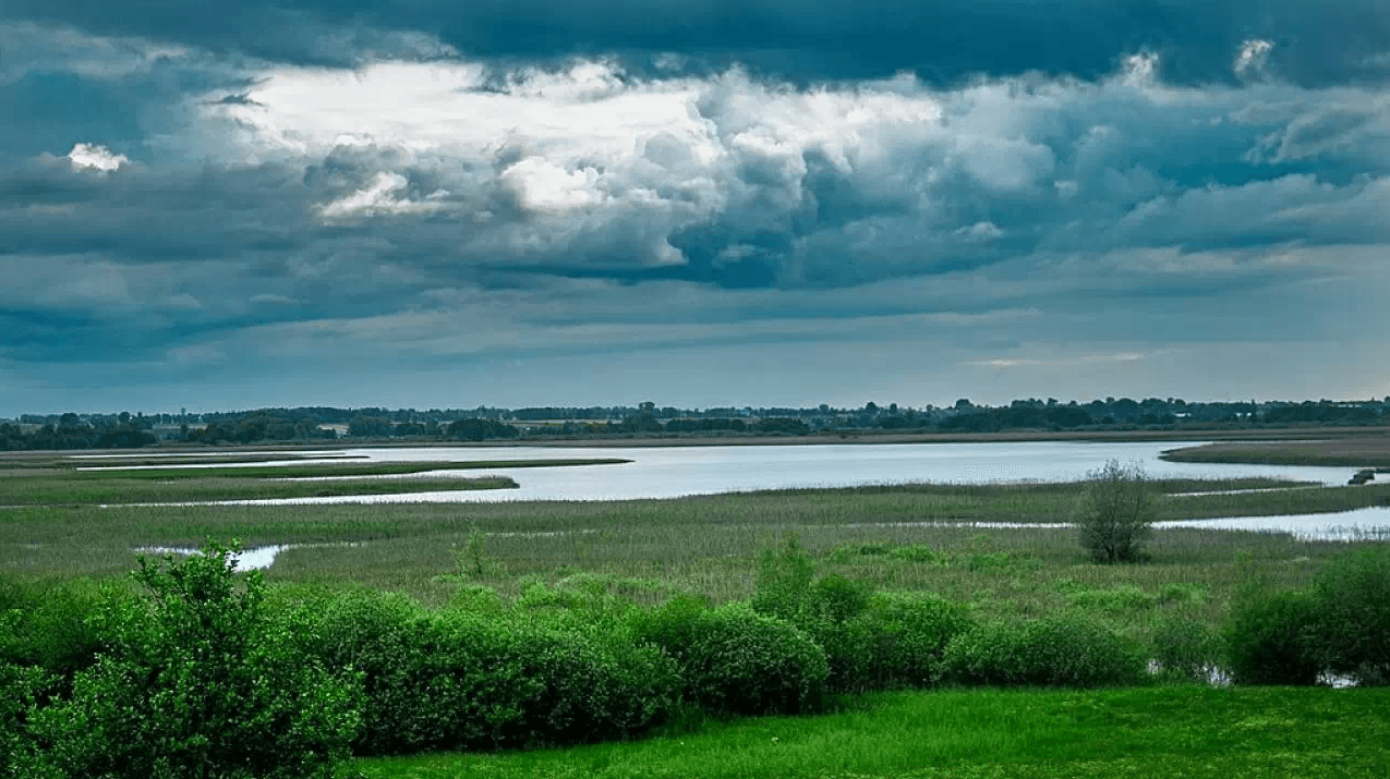 Płock – co warto zobaczyć? Główne atrakcje w Płocku i okolicach