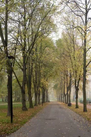 Park Zamkowy w Mysłowicach