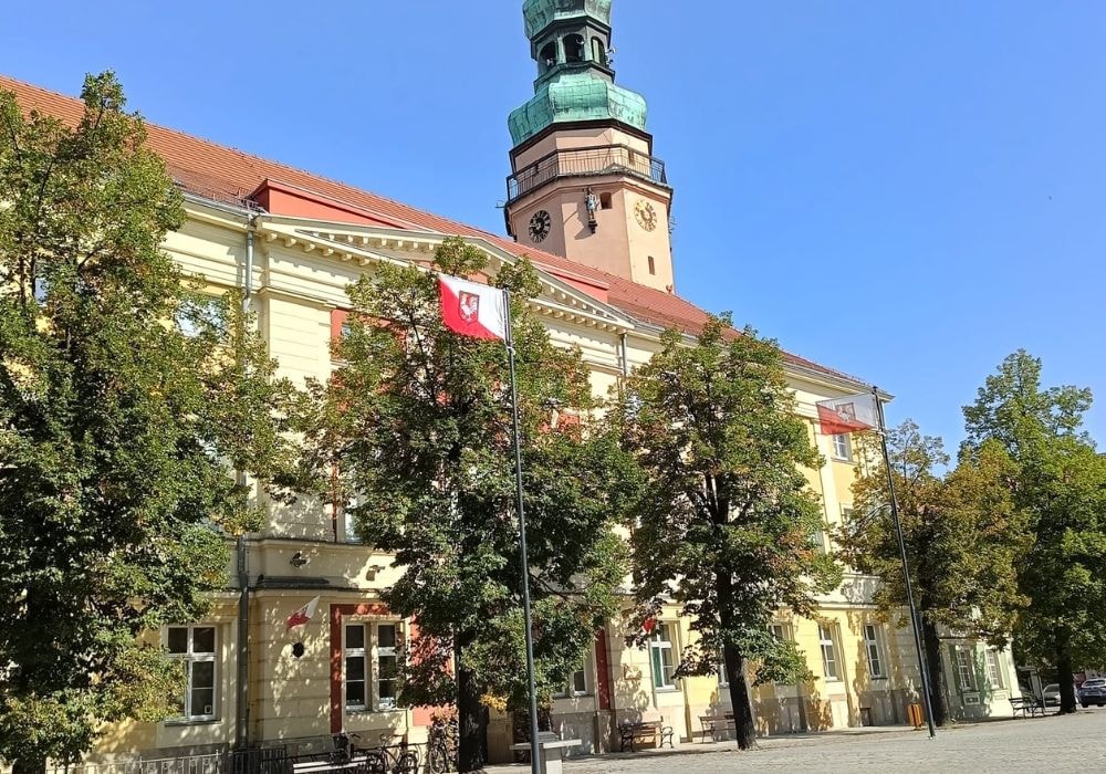 Oława Tani wynajem aut / fot. własne