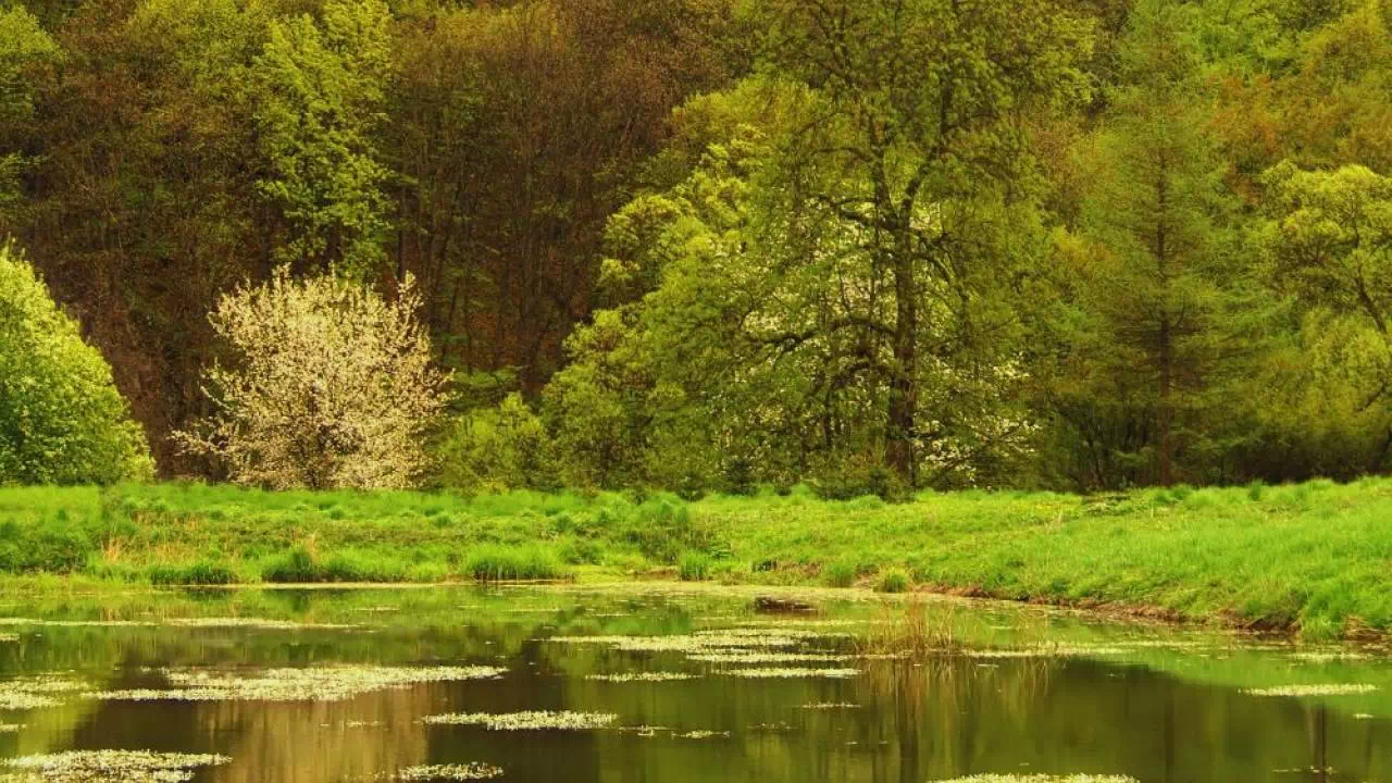 Dolina Krakowska Pradnik