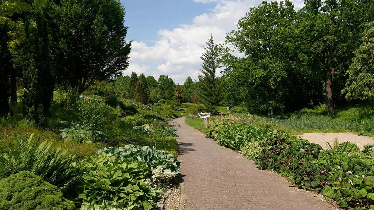 Ścieżka prowadząca przez ogród botaniczny w Powsinie. Wzdłuż niej znajduje się wiele krzewów oraz wysokich drzew.