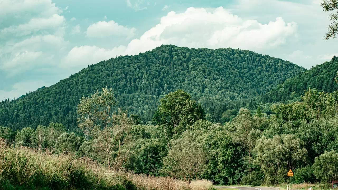 Uherce Mineralne - zwiedź Bieszczady samochodem. Okoliczny krajobraz, niezapomniane widoki.