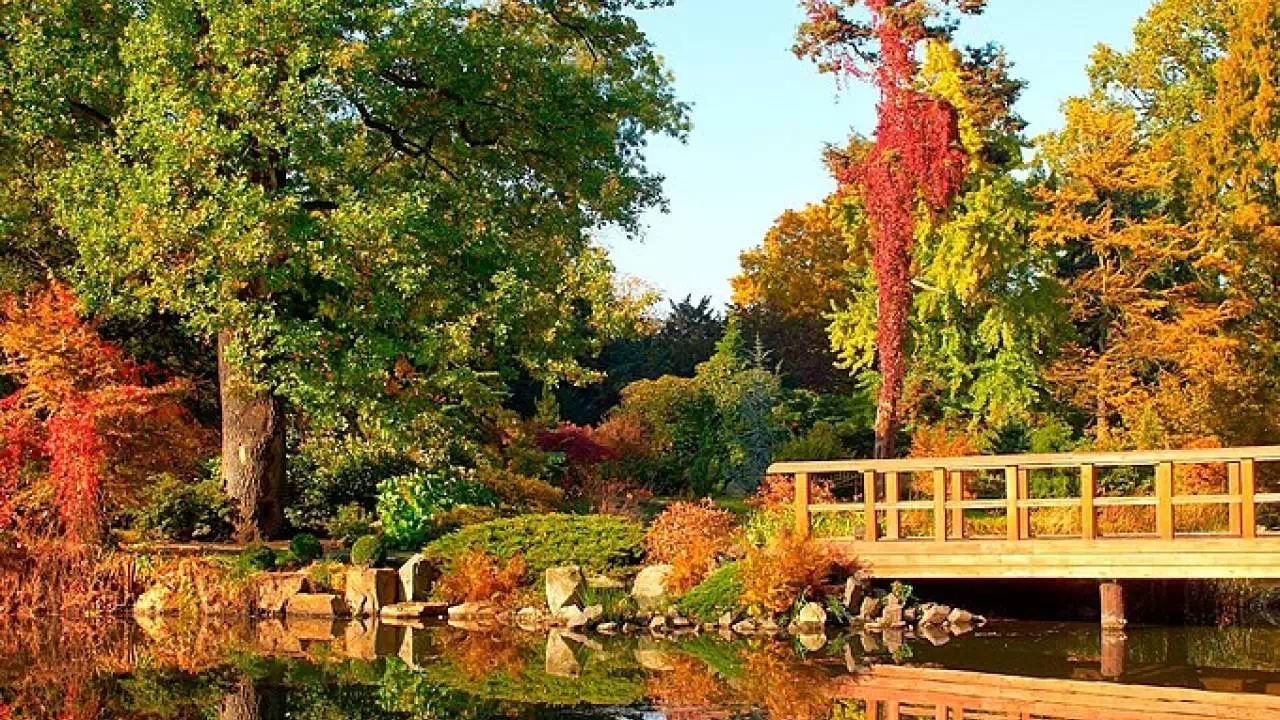 Ogród Japoński we Wrocławiu