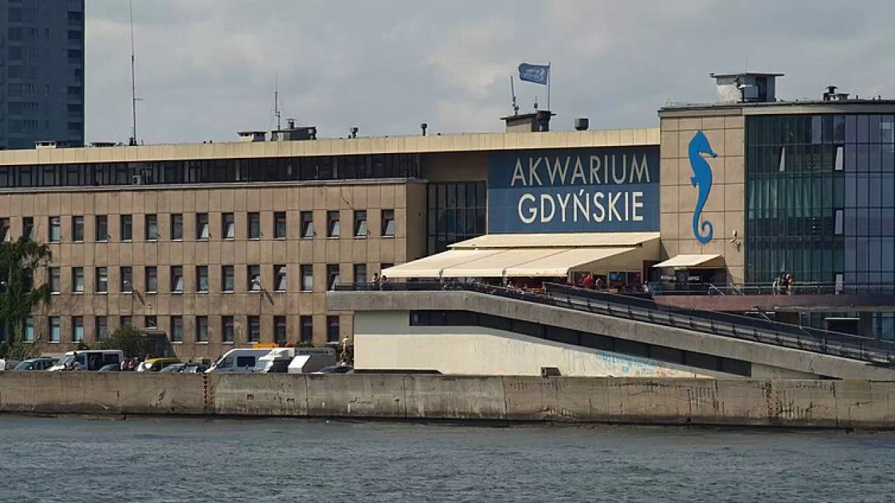 Akwarium Gdyńskie