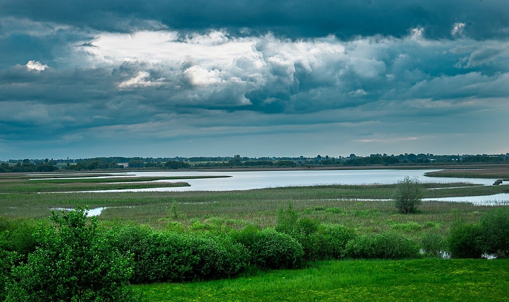 Jezioro Rakutowskie w Gostynińsko-Włocławskim Parky Krajobrazowym (źródło: https://commons.wikimedia.org/wiki/File:Rakutowskie.jpg)