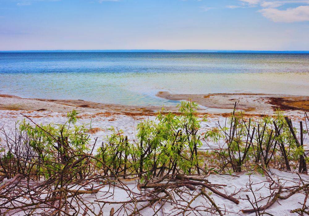 Plaża w Jastarni / fot. Canva.com