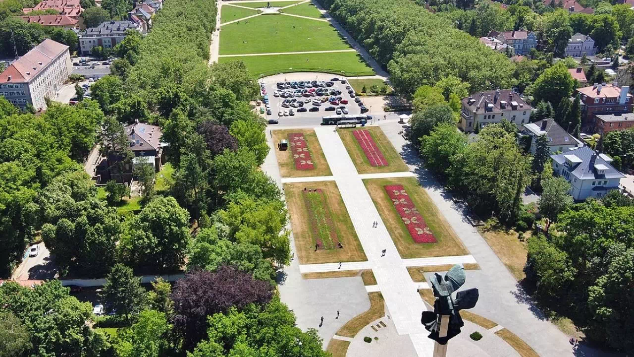 Rozległa przestrzeń zielona, jaka należy do Jasnych Błoni w Szczecinie, otoczona wysokimi i gęstymi drzewami.