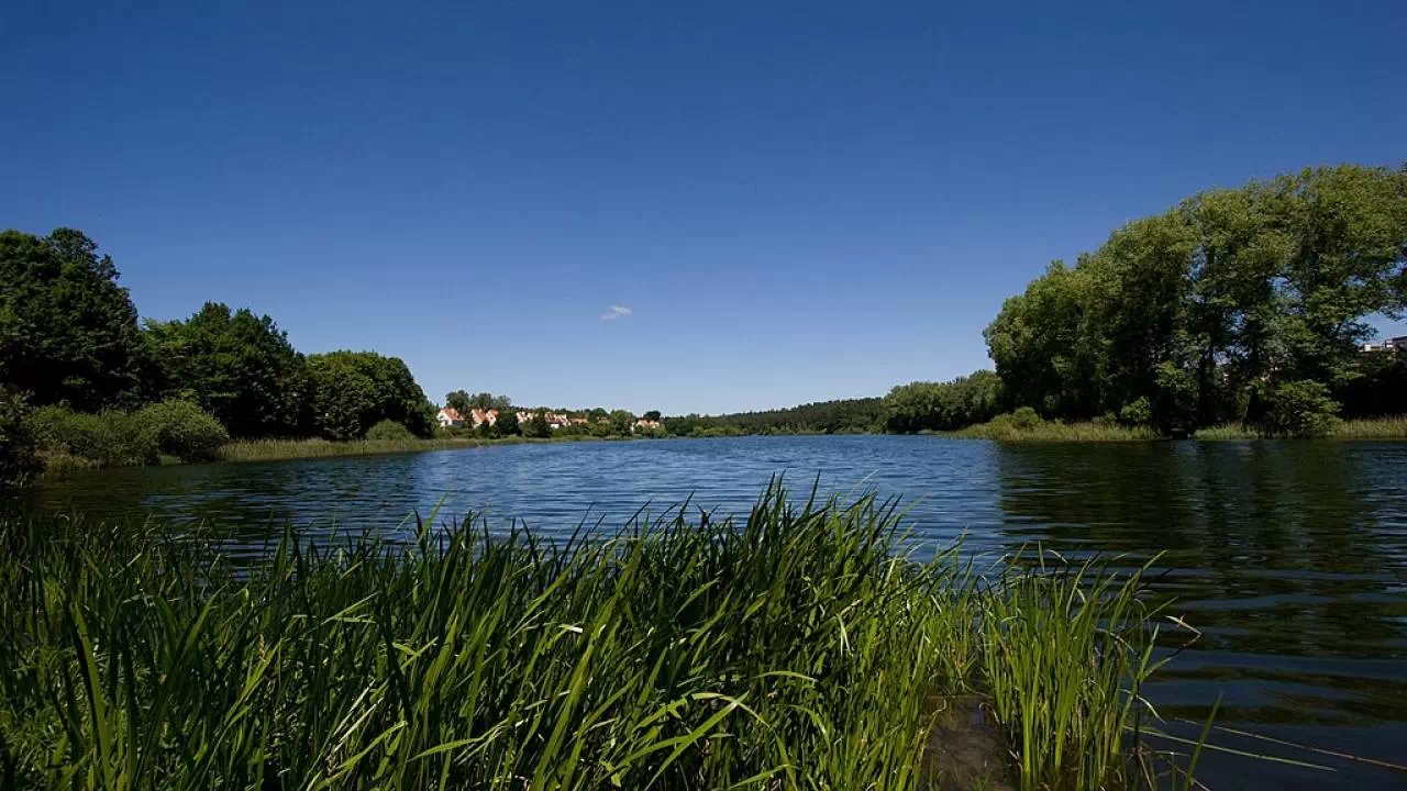 Jezioro Długie w okolicy Olsztyna mające plażę miejską i duży teren rekreacyjny. Otoczone bujną roślinnością wodną i drzewami.