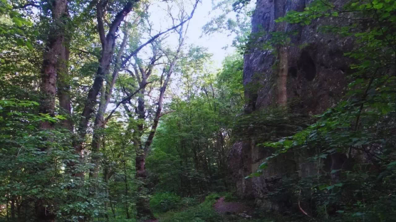 Wielka skała, Dolinka Podskalańska