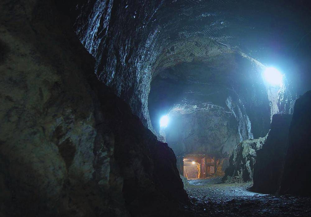 Osówka Włodarz / fot. Wikipedia