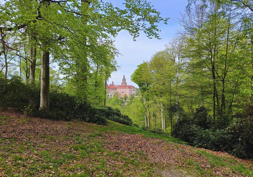 Zamek w Książu Włodarz / fot. KS