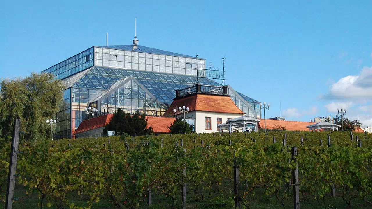 Palmiarnia w Zielonej Górze