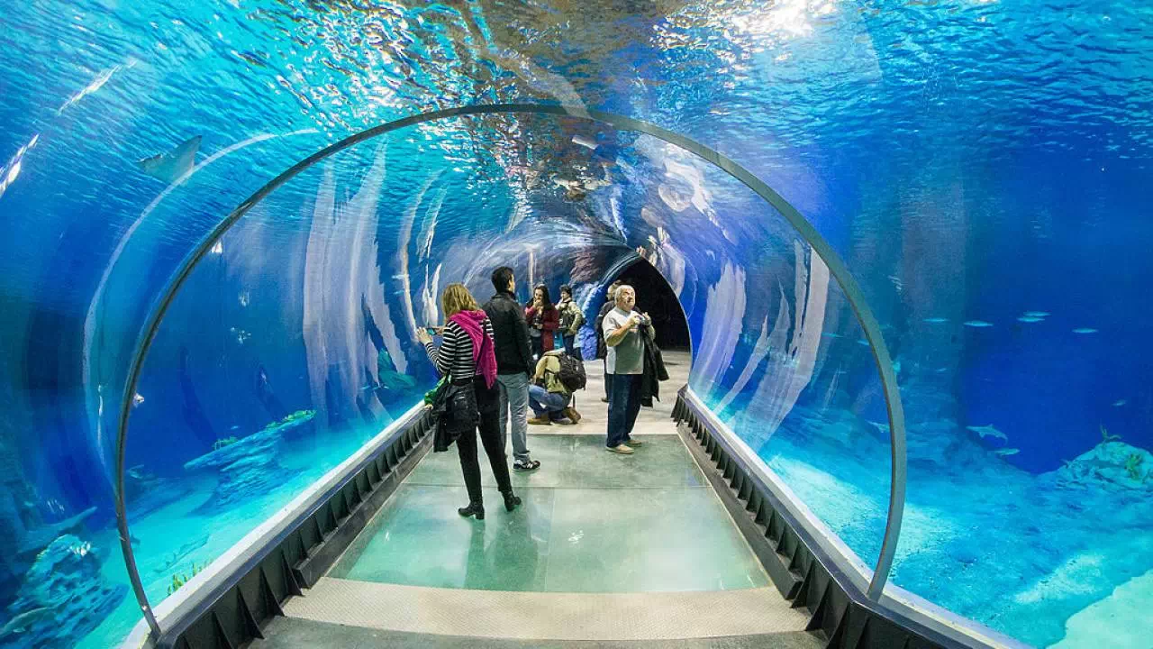 Tunel w Afrykarium we wrocławskim zoo
