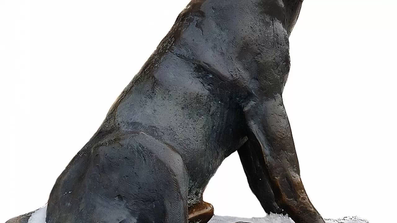 Pomnik psa Werniksa na kazimierskim rynku