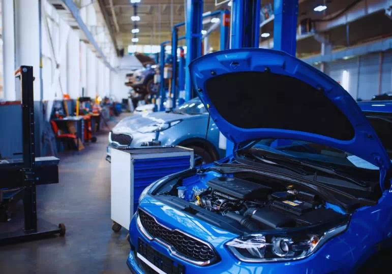 Jak odzyskać dowód rejestracyjny? / fot. Canva.com