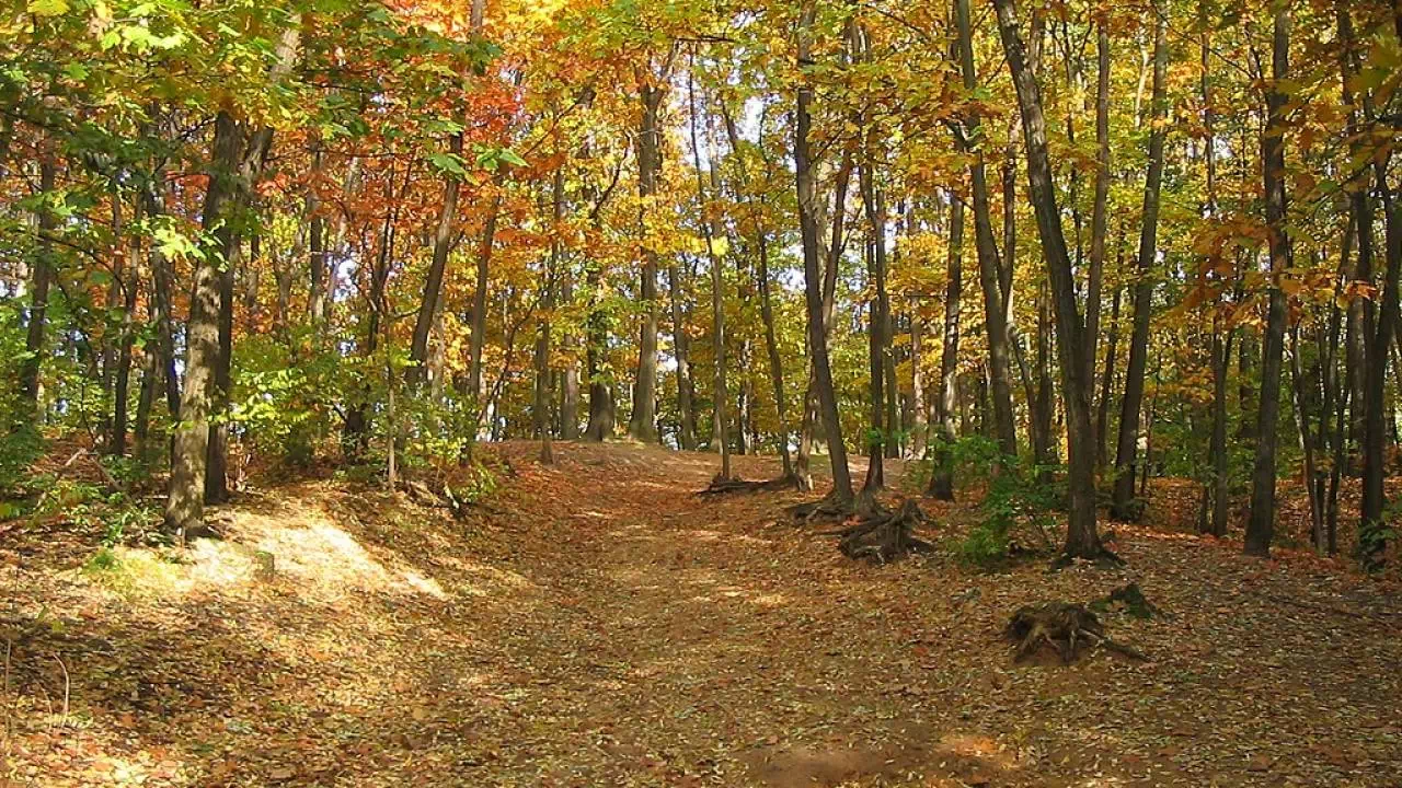 Wzgórza Piastowskie w Zielonej Górze