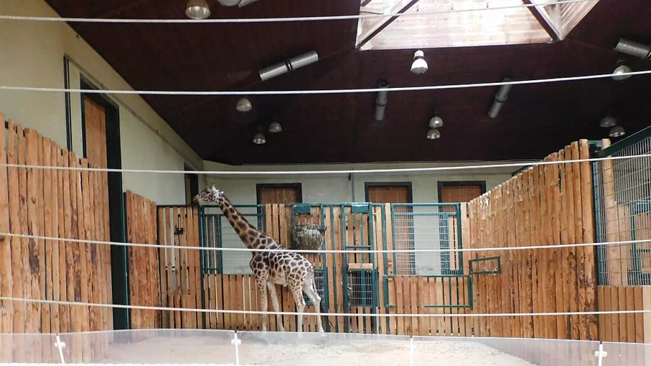 Gdański Ogród Zoologiczny