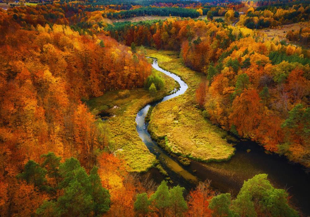 Kaszubska Szwajcaria / fot. Canva.com